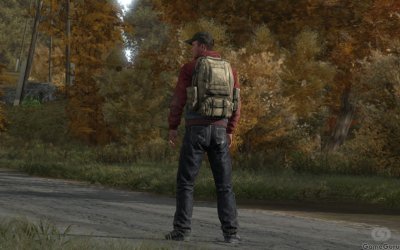 DayZ Standalone