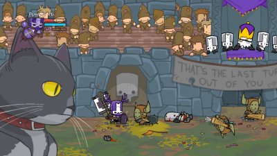 Castle Crashers