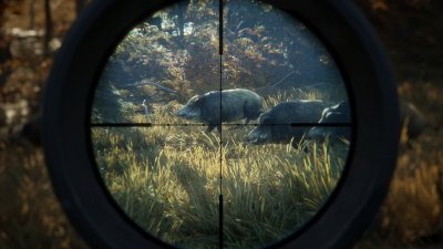 TheHunter Call of the Wild