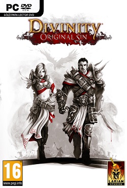 Divinity Original Sin