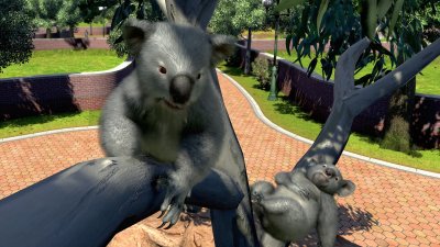 Zoo Tycoon 3