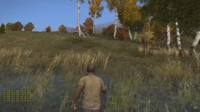 DayZ Standalone    2020