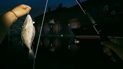 Ultimate Fishing Simulator 2