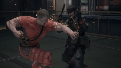 Metal Gear Solid Delta Snake Eater